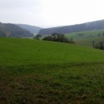 Spaziergang 6.10.2014