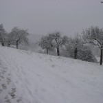 Wanderung durch den Schnee