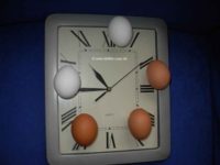 Eieruhr oder Uhr mit Eier