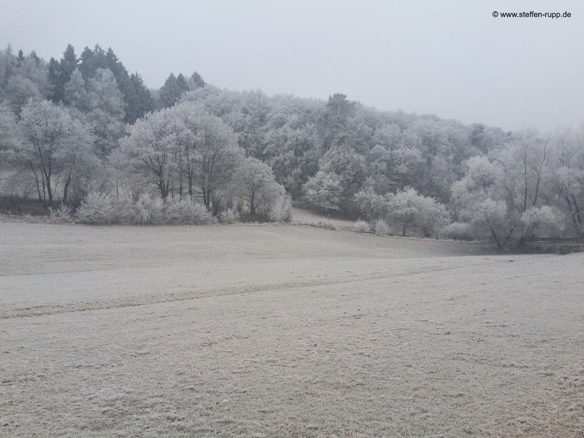 Winterlandschaft