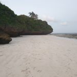 Korallensteine am Strand