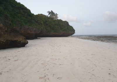 Korallensteine am Strand