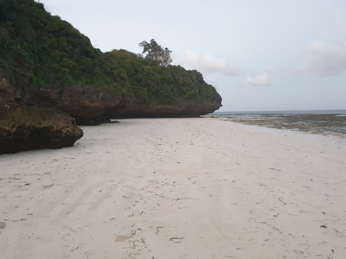 Korallensteine am Strand