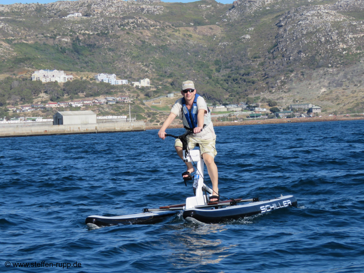 Water Biking in Simons Town