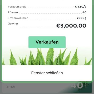 Juicyfields 3000 Euro Auszahlung