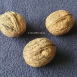 3 Walnüsse