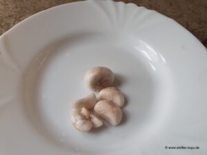 Mangostane Inhalt