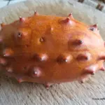 Kiwano mit Schale