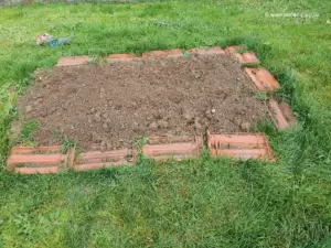 Testfeld für Winterkartoffeln 2