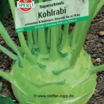 Kohlrabi von Sperli