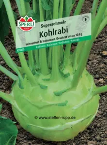 Kohlrabisamen Vorderseite Kohlrabisamen Vorderseite