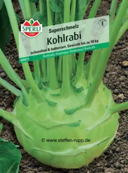 Kohlrabi von Sperli